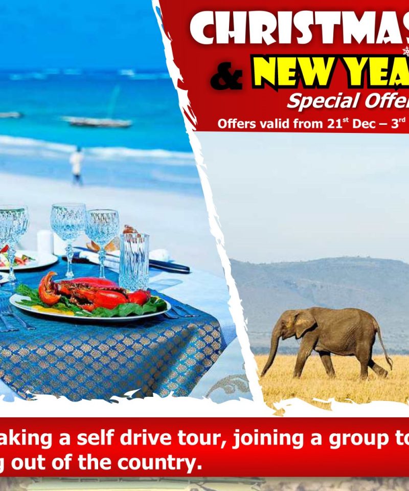 Christmas And New Year Deals 2019 Chiral Afrique